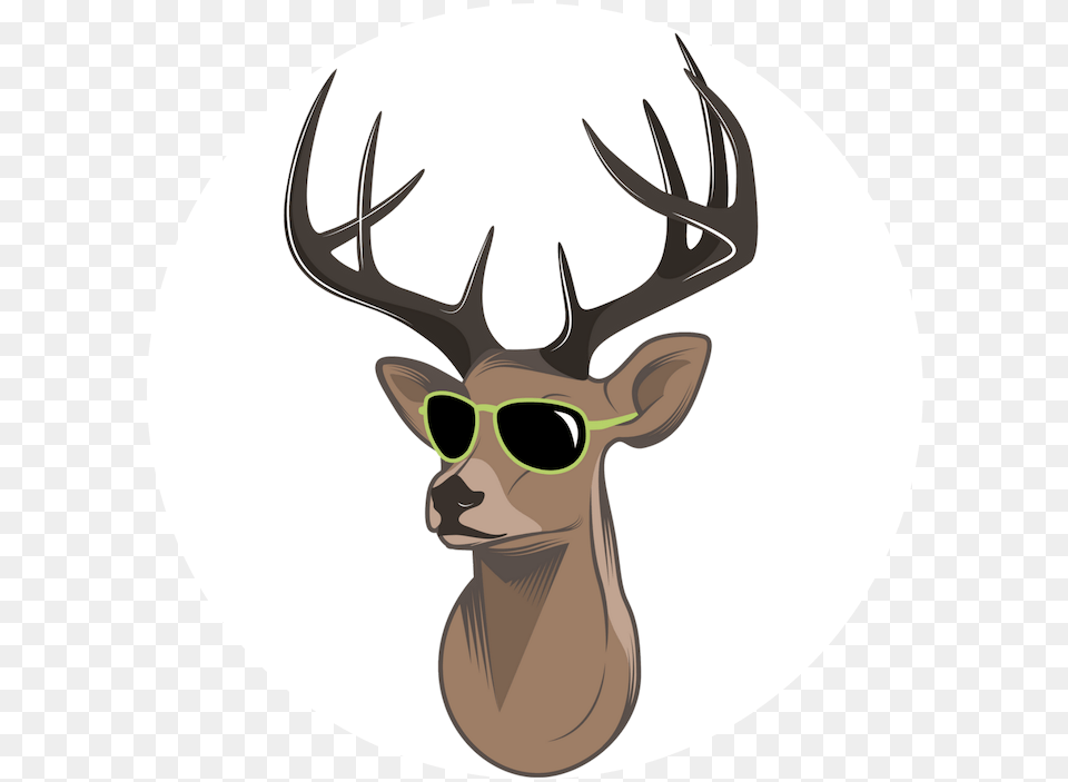 Moose Head Clipart, Animal, Deer, Mammal, Wildlife Png Image