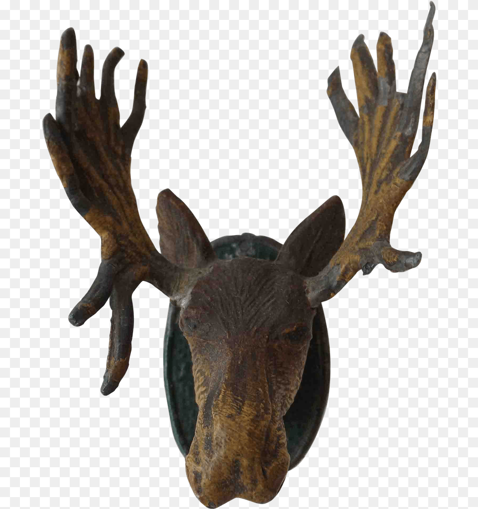 Moose Head Moose Head Background, Antler, Animal, Mammal, Wildlife Free Transparent Png