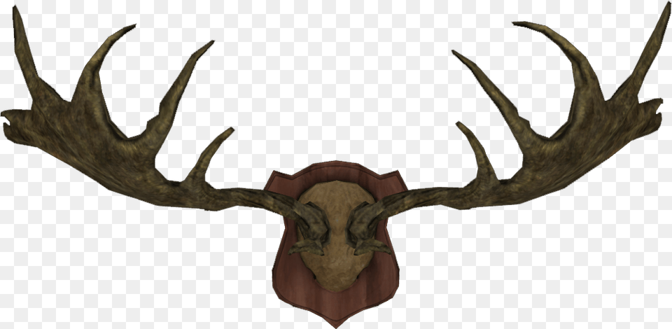 Moose Horns Elk Horns, Antler, Animal, Dinosaur, Reptile Free Transparent Png