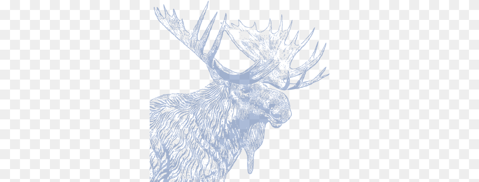 Moose International Loyal Order Of Moose, Animal, Mammal, Wildlife, Person Png Image
