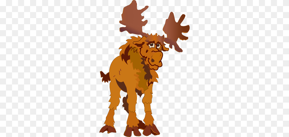 Moose Portrait, Animal, Lion, Mammal, Wildlife Free Transparent Png