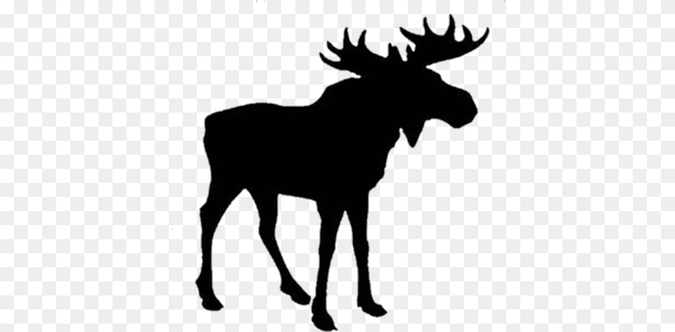 Moose Silhouette, Animal, Mammal, Wildlife, Antelope Png Image