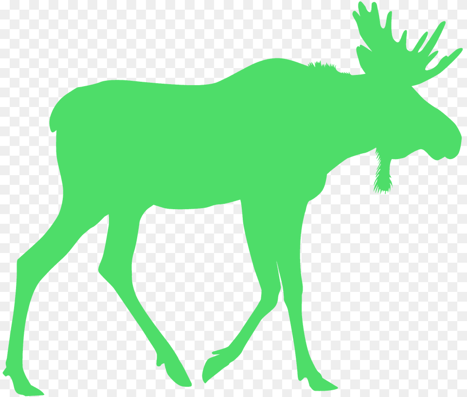 Moose Silhouette, Animal, Mammal, Wildlife, Person Png