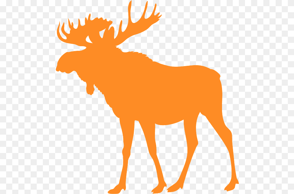 Moose Silhouette, Animal, Mammal, Wildlife, Person Free Transparent Png