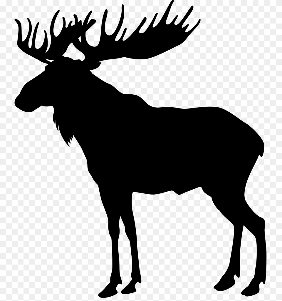 Moose Silhouette Clip Art Image, Gray Free Png