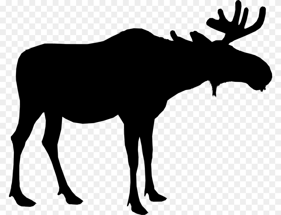 Moose Silhouette Deer Vector Graphics Portable Network, Gray Free Png Download