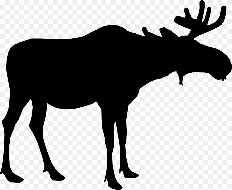 Moose Silhouette Deer Vector Graphics Portable Network Moose Transparent Background, Gray Png