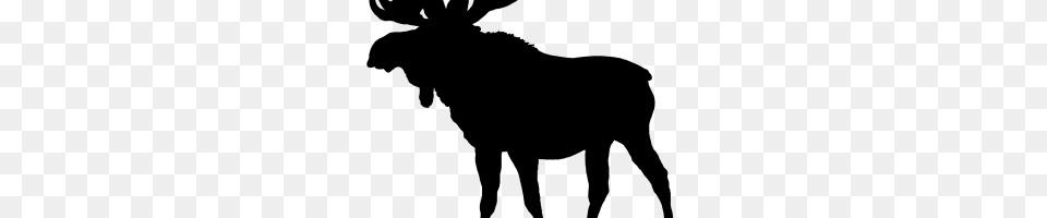 Moose Silhouette Image, Animal, Mammal, Wildlife, Person Png