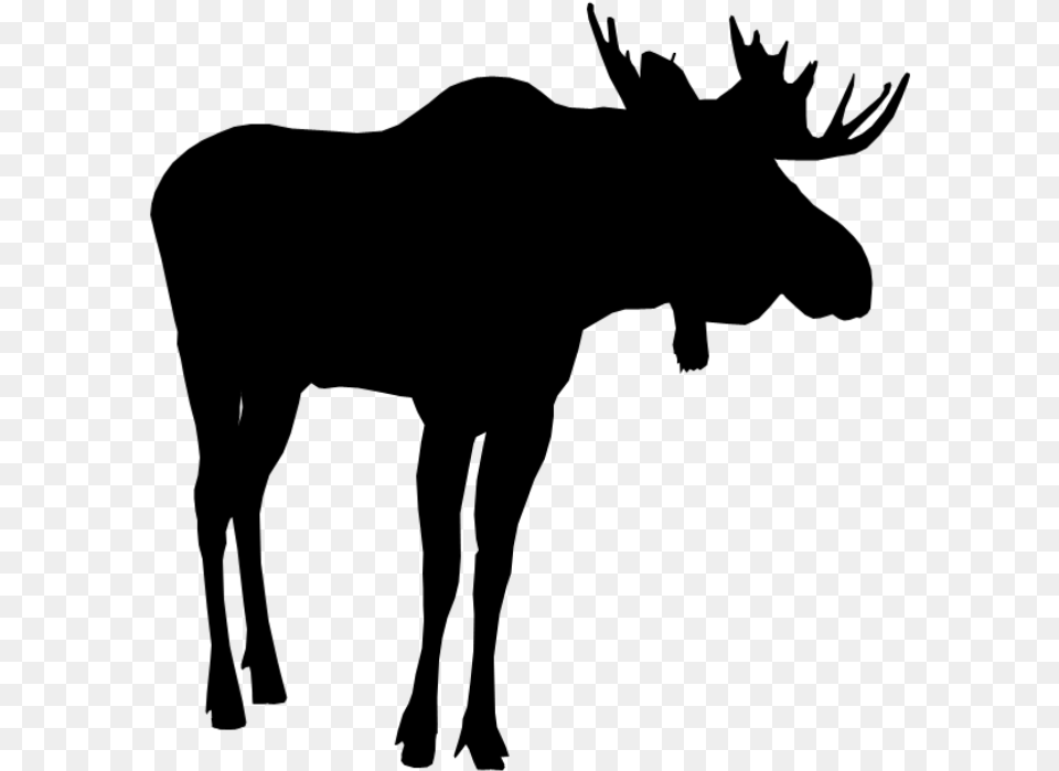 Moose Silhouette Moosesilhouette Moose, Animal, Mammal, Wildlife Free Transparent Png
