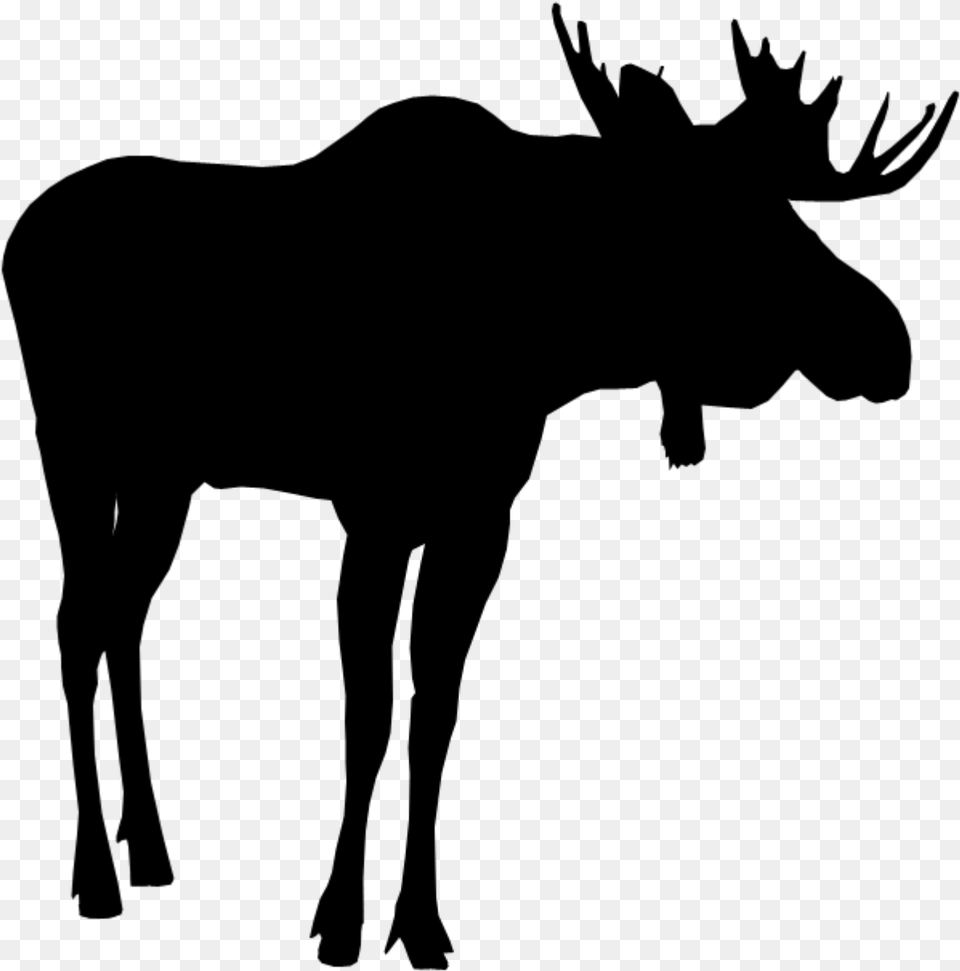 Moose Silhouette Moosesilhouette Moose Cartoon Silhouette, Animal, Mammal, Wildlife Free Png