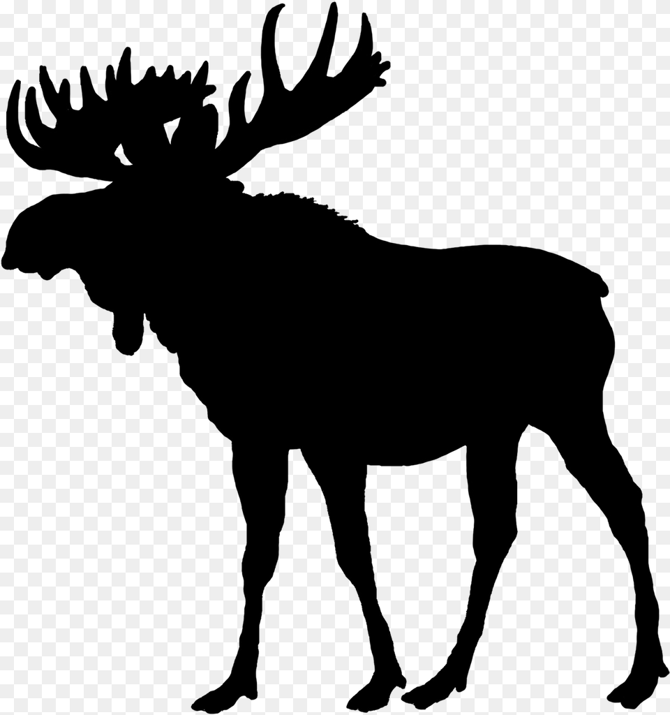 Moose Transparent Background Moose Silhouette, Animal, Mammal, Wildlife, Person Free Png