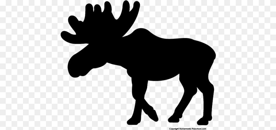 Moose Images Illustration, Animal, Mammal, Wildlife, Canine Free Transparent Png
