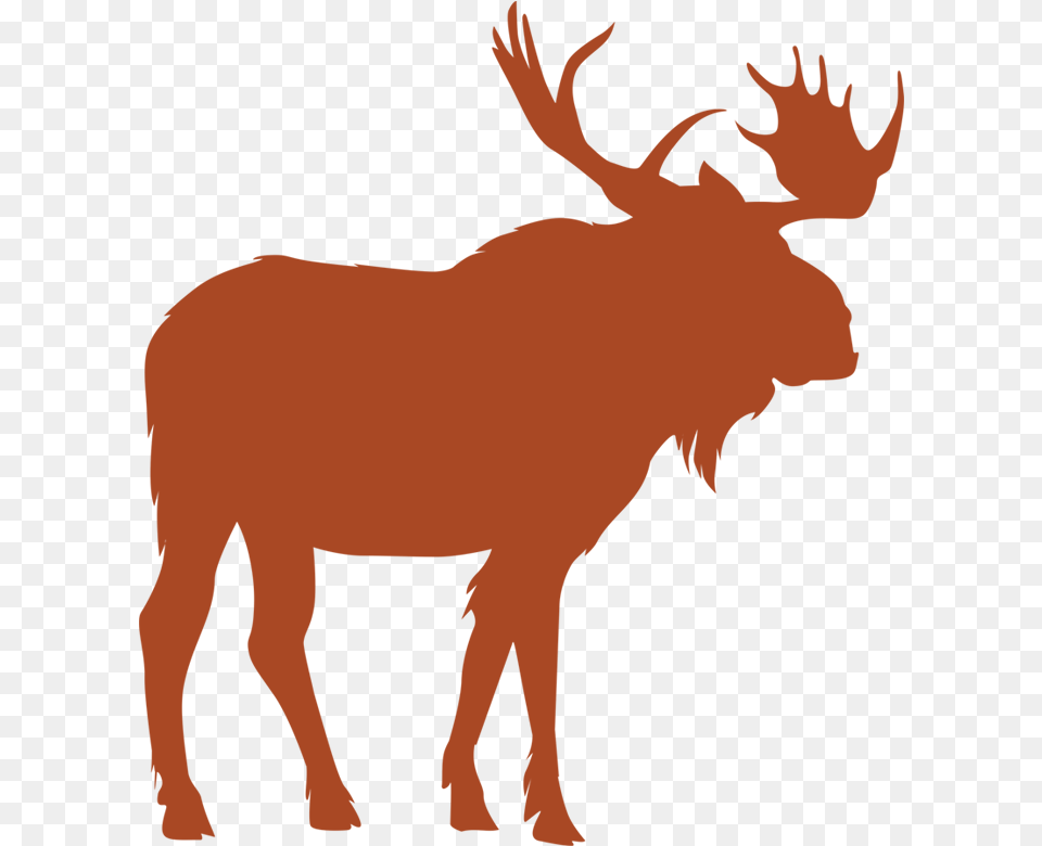 Moose Vector, Animal, Mammal, Person, Wildlife Free Png Download