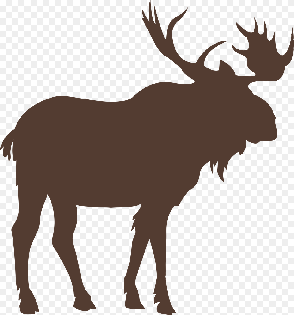 Moose Vector Graphics Royalty Stock Photography Moose Vector, Animal, Mammal, Wildlife, Person Free Transparent Png