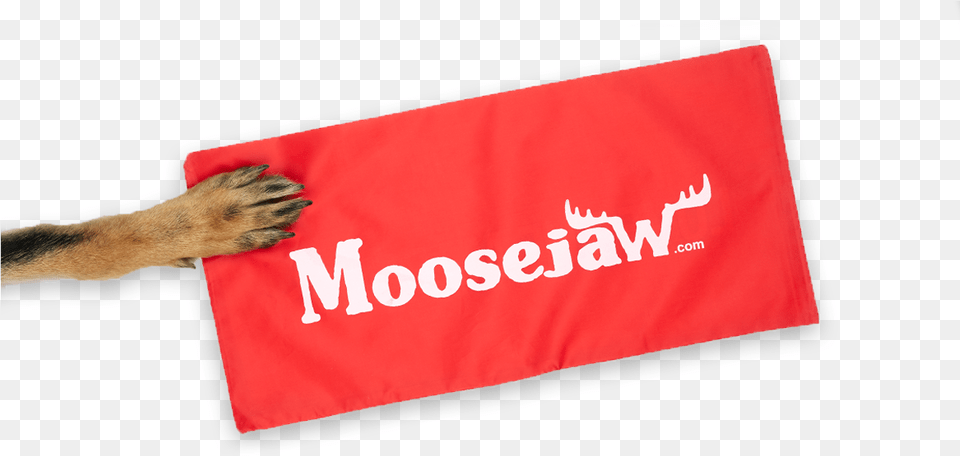 Moosejaw Sticker, Animal, Canine, Dog, Mammal Free Png