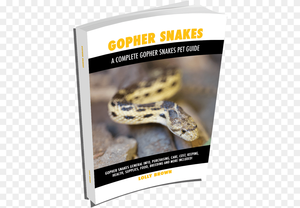 More Books Ball Pythons As Pets Burmese Python, Advertisement, Poster, Animal, Reptile Free Png Download