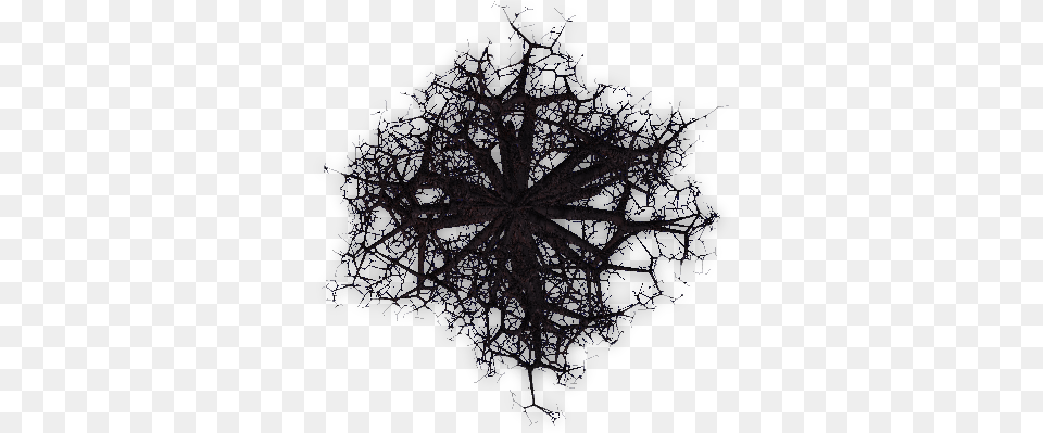 More Dead Trees Portable Network Graphics, Accessories, Fractal, Ornament, Pattern Png