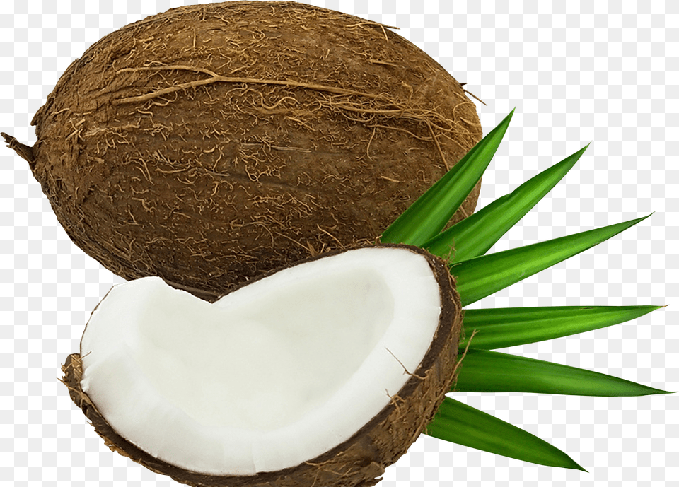 More From My Site, Coconut, Food, Fruit, Plant Free Png Download