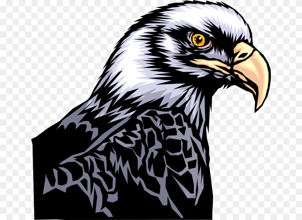 More In Same Style Group Aguila, Animal, Bird, Eagle, Beak Free Transparent Png