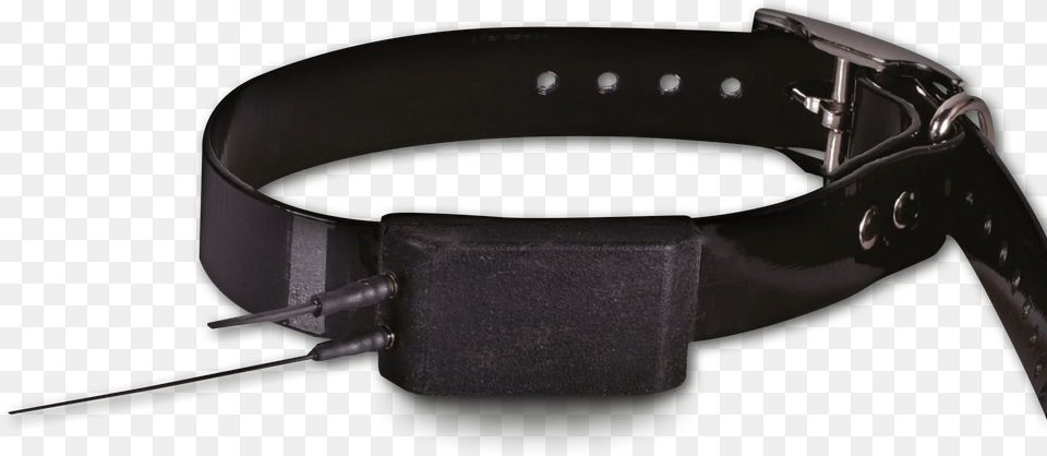 More Info Dog, Accessories, Belt, Strap, Buckle Free Png Download