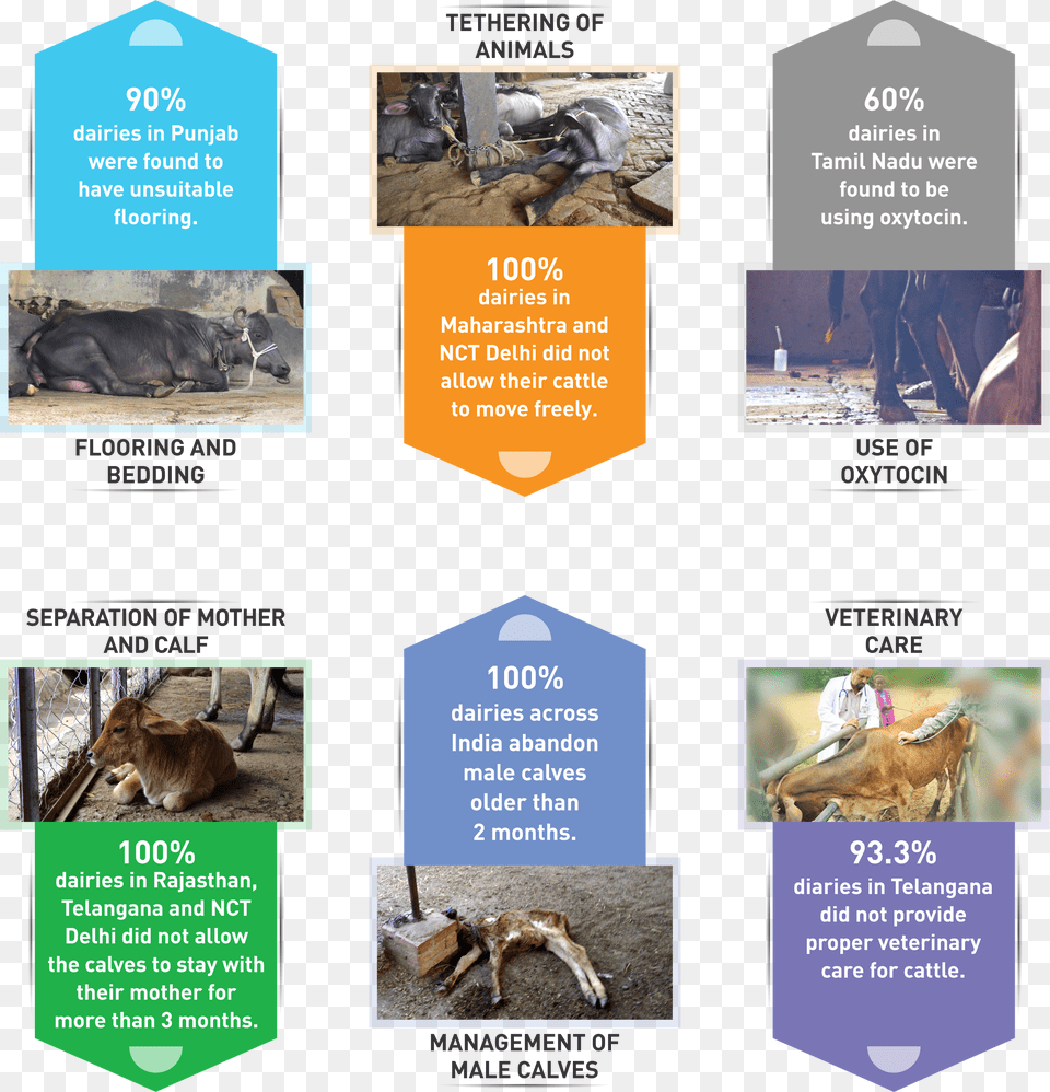 More Info Pest Free Png Download