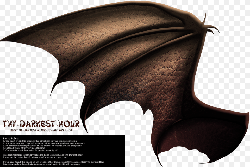 More Like Dragon Wings 01 By Thy Darkest Hour Dragon Wings Side View, Leaf, Plant, Person Free Png