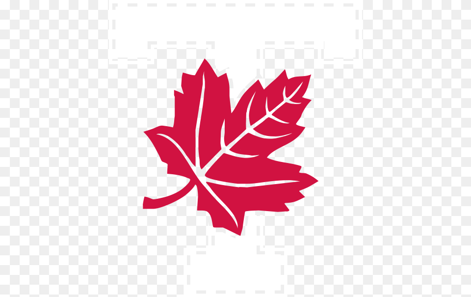 More Links University Of Toronto Varsity Blues Logo, Leaf, Maple Leaf, Plant, Tree Png