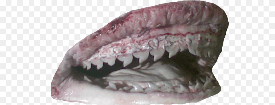More Shark Mouth Rips Fish, Body Part, Person, Teeth Png Image