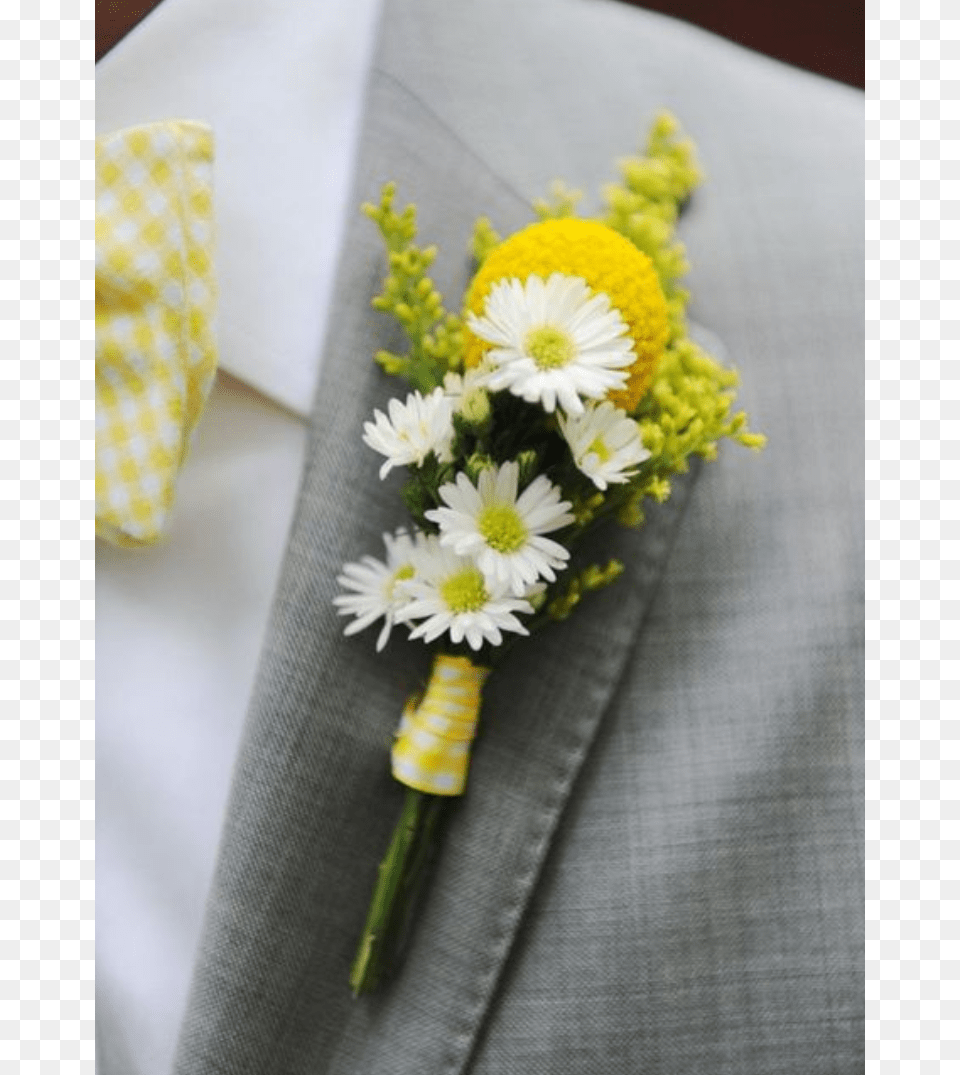 More Views, Daisy, Flower, Flower Arrangement, Flower Bouquet Free Png Download