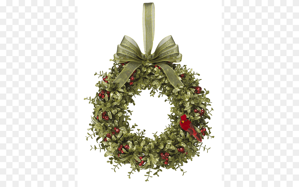 More Views, Plant, Wreath Free Transparent Png