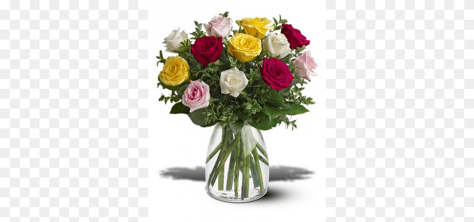 More Views, Rose, Plant, Flower, Flower Arrangement Free Png Download