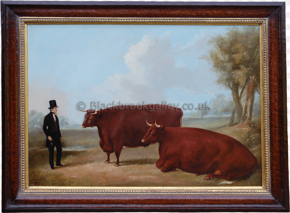 More Views Picture Frame, Animal, Art, Bull, Painting Free Png