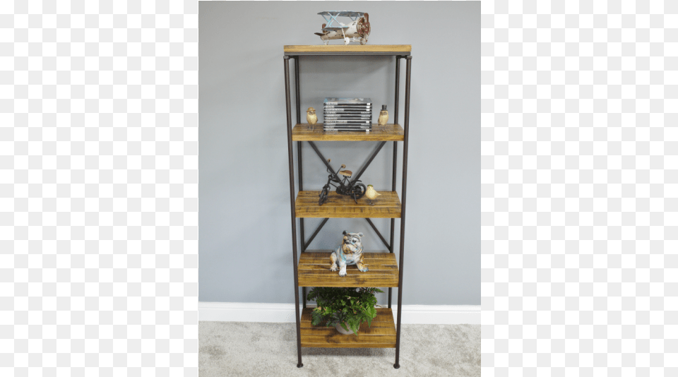 More Views Shelf, Furniture, Bookcase, Wood, Hardwood Free Transparent Png