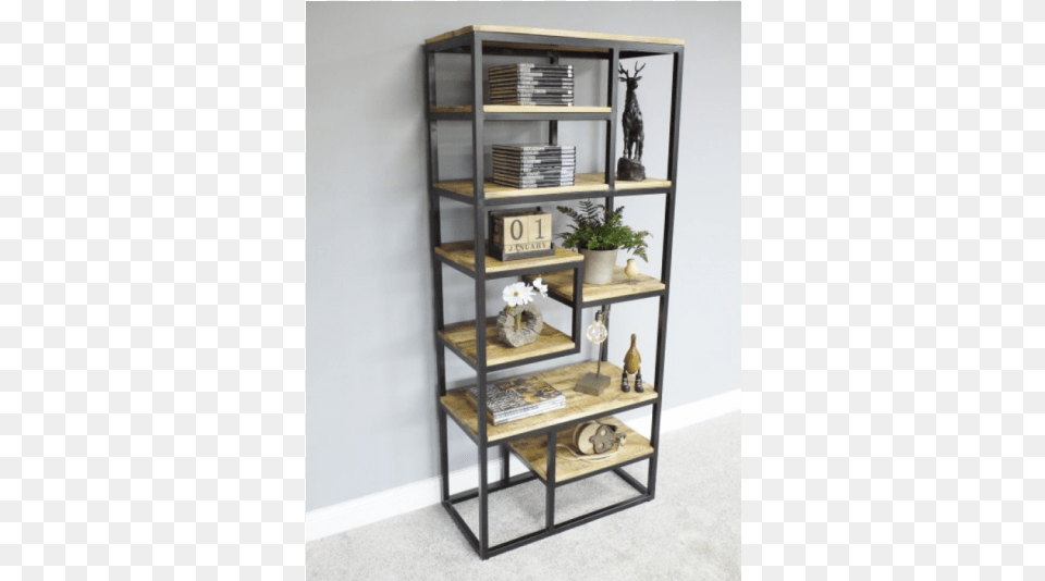 More Views Shelf, Furniture, Bookcase, Plant Free Png Download