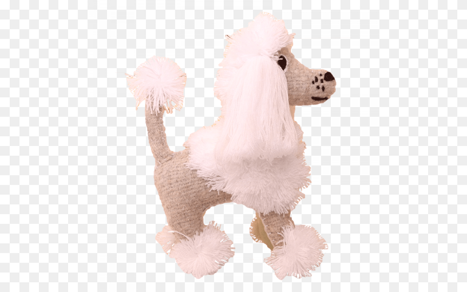 More Views Standard Poodle, Animal, Fowl, Chicken, Bird Free Png