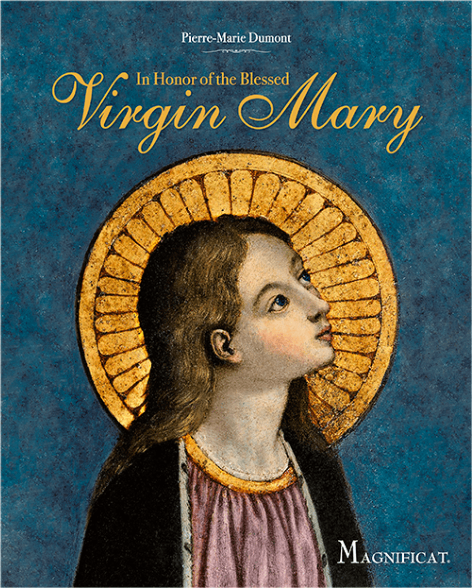 More Views Virgin Of The Blessed Mary, Book, Publication, Adult, Female Free Png Download