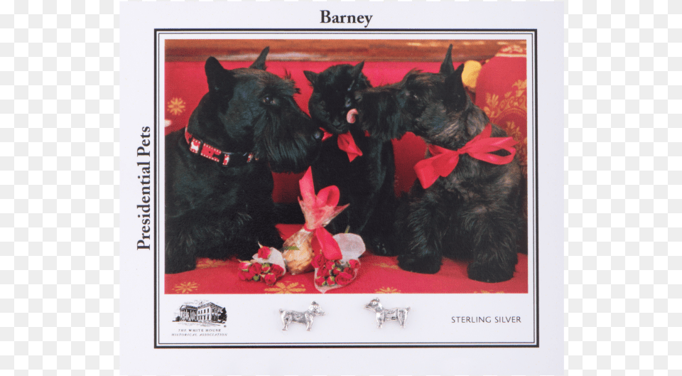 More Views White House Historical Association Barney Earrings, Animal, Canine, Dog, Mammal Free Png