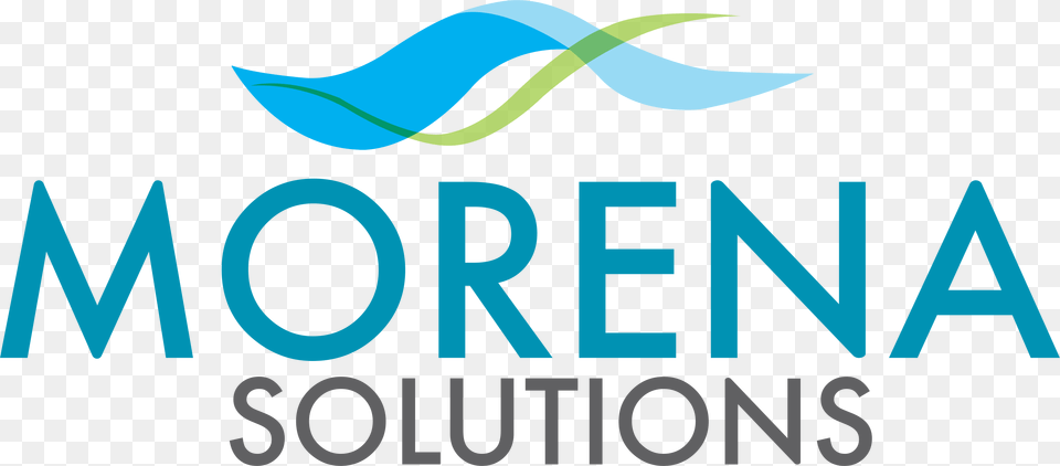 Morena Solutions Logo National Geographic Blog, Animal, Fish, Sea Life, Shark Png