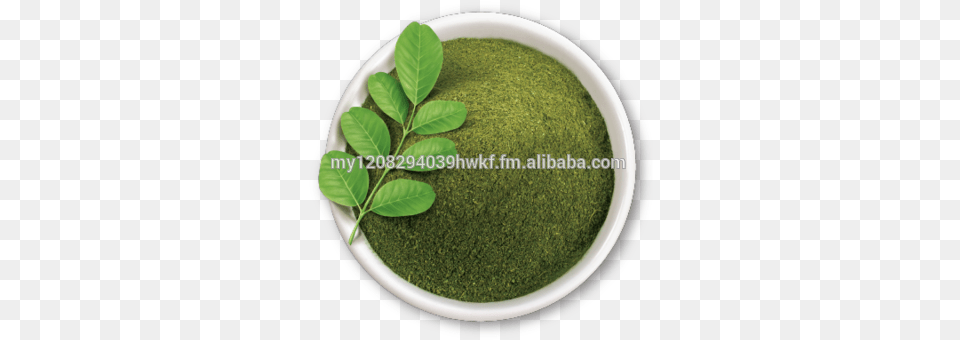 Moringa Dry Leaves And Powder Moringa Logo, Herbal, Herbs, Leaf, Moss Png
