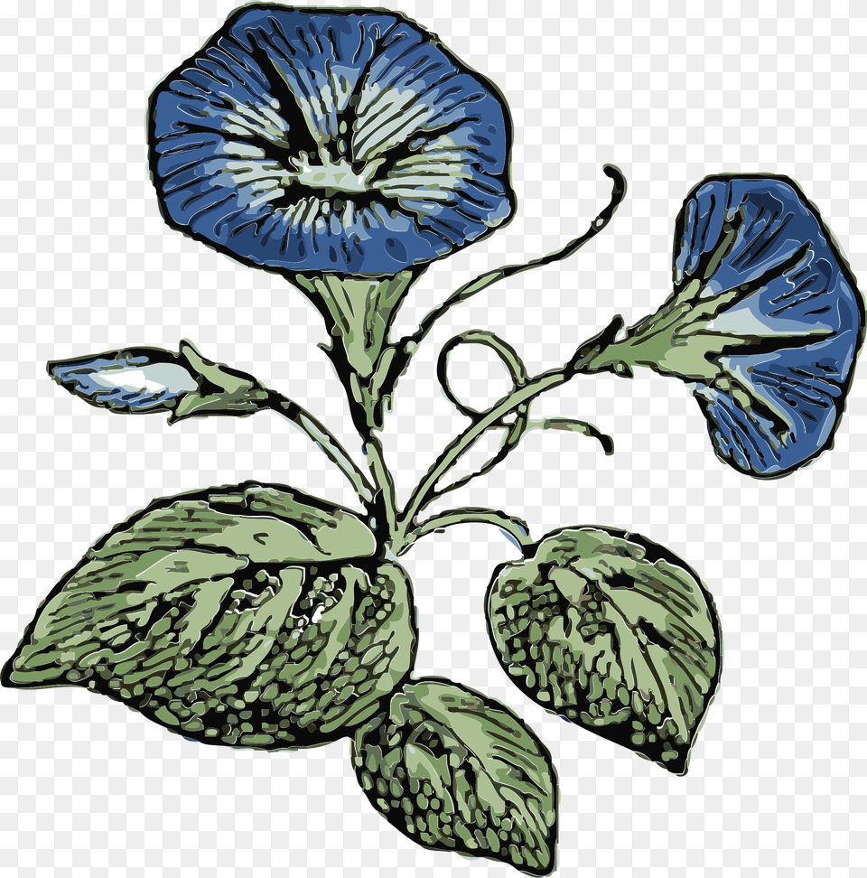 Morning Clipart, Flax, Flower, Plant, Petal Png