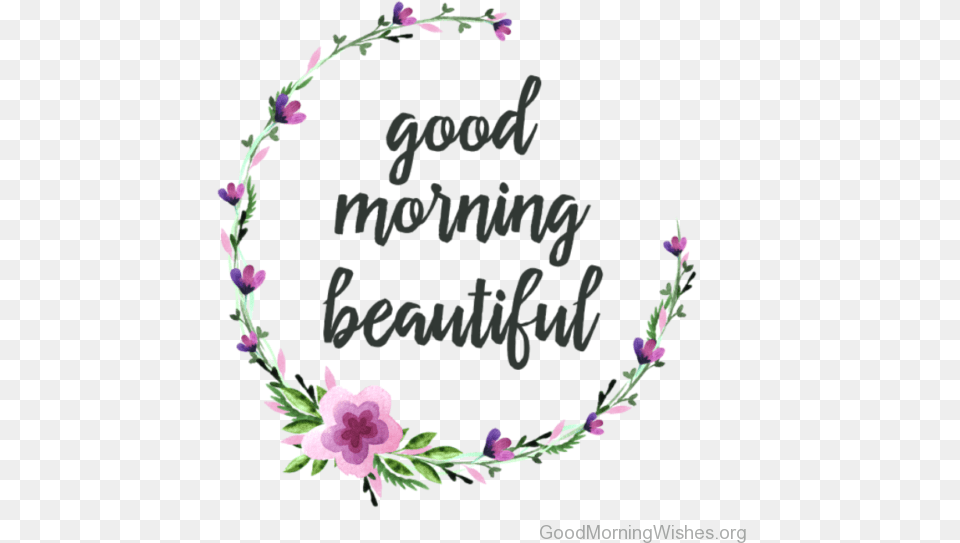 Morning Drawing Gud Beautiful Good Morning Babe, Flower, Plant, Flower Arrangement, Accessories Free Transparent Png