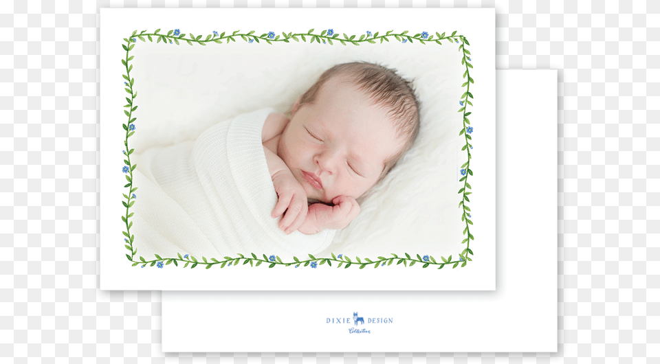 Morning Glory Blue Border Birth Announcement, Baby, Person, Newborn, Photography Png Image