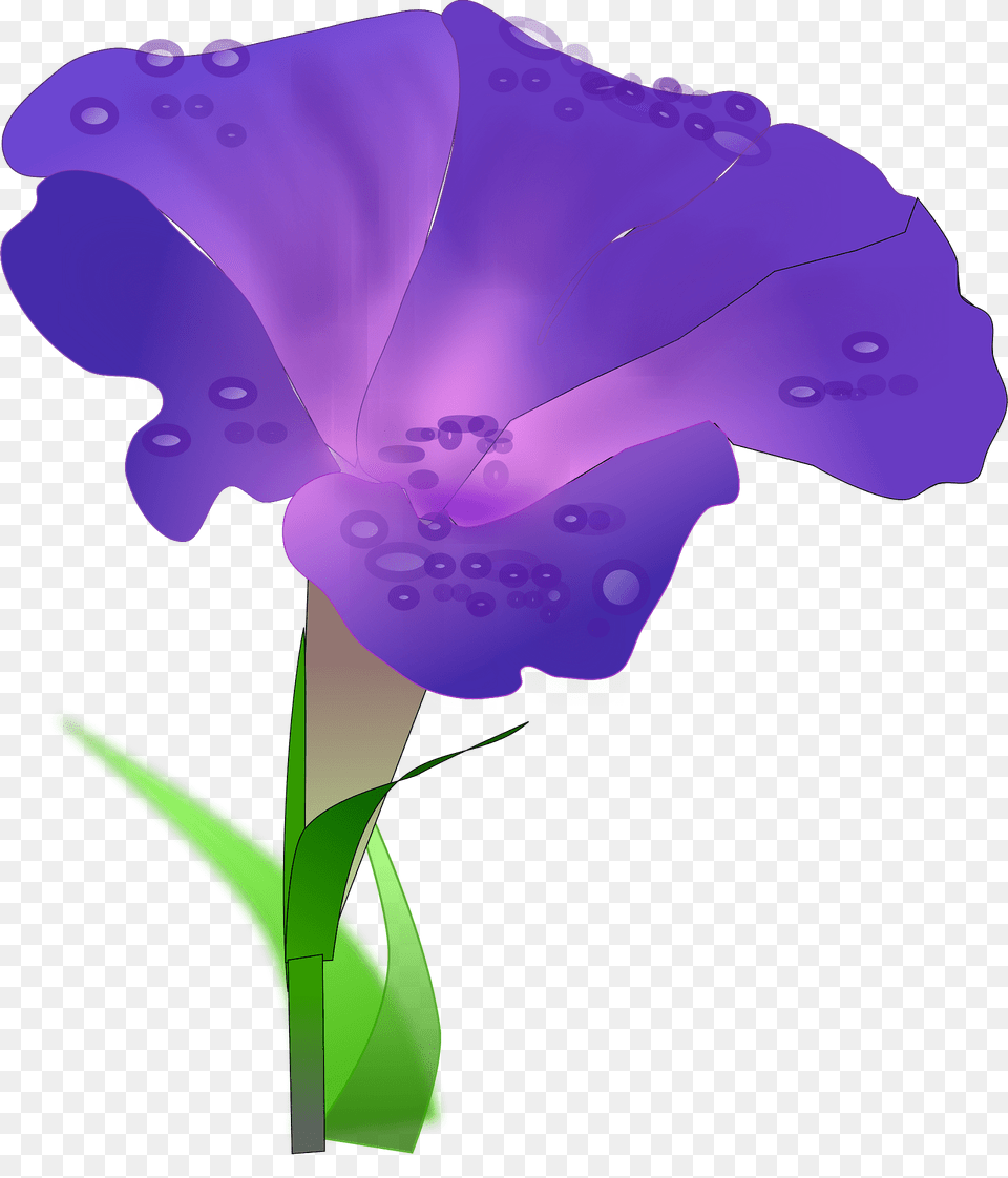 Morning Glory Clipart, Flower, Iris, Petal, Plant Free Png Download