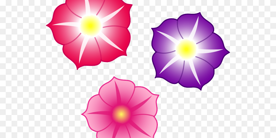 Morning Glory Clipart Clip Art, Anemone, Flower, Petal, Plant Free Png