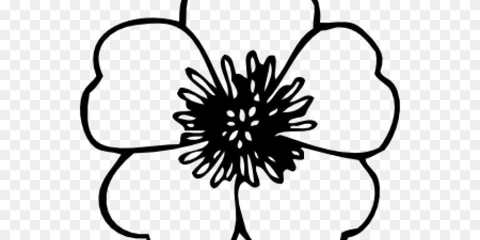 Morning Glory Clipart Mogra Clip Art White And Black Spring Flowers, Gray Png
