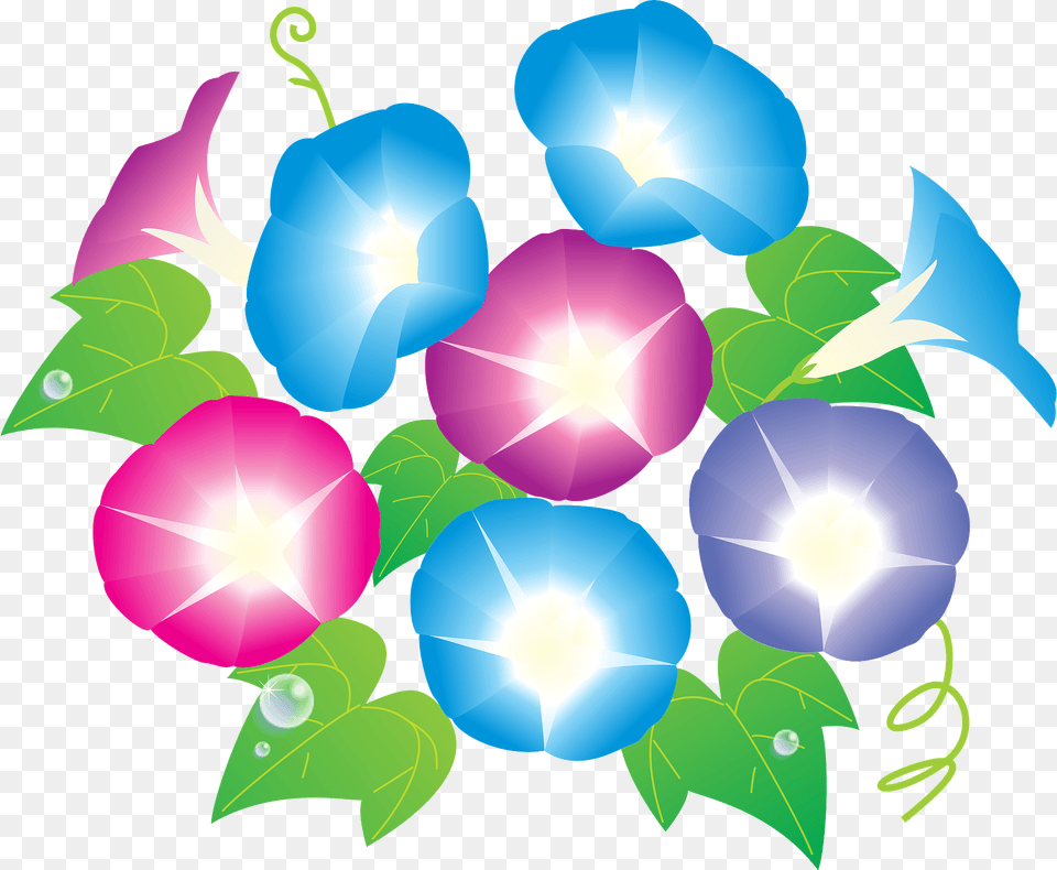 Morning Glory Flower Clipart, Anemone, Art, Graphics, Petal Png Image
