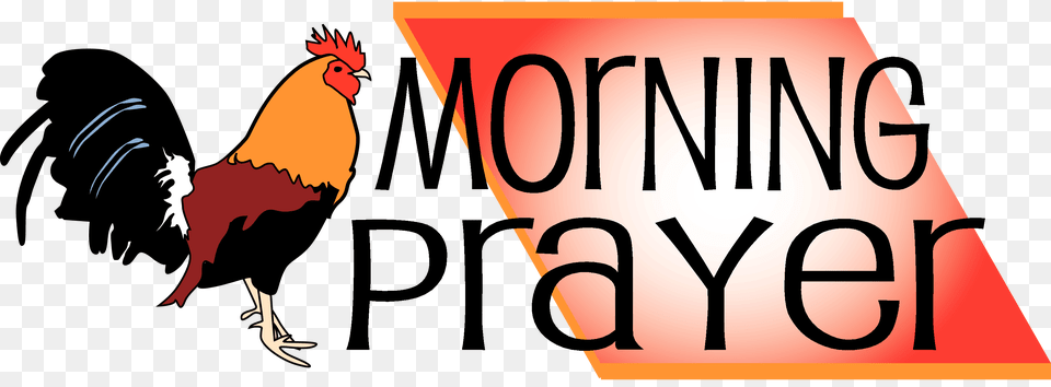 Morning Prayer Clip Art Image, Animal, Bird, Chicken, Fowl Png