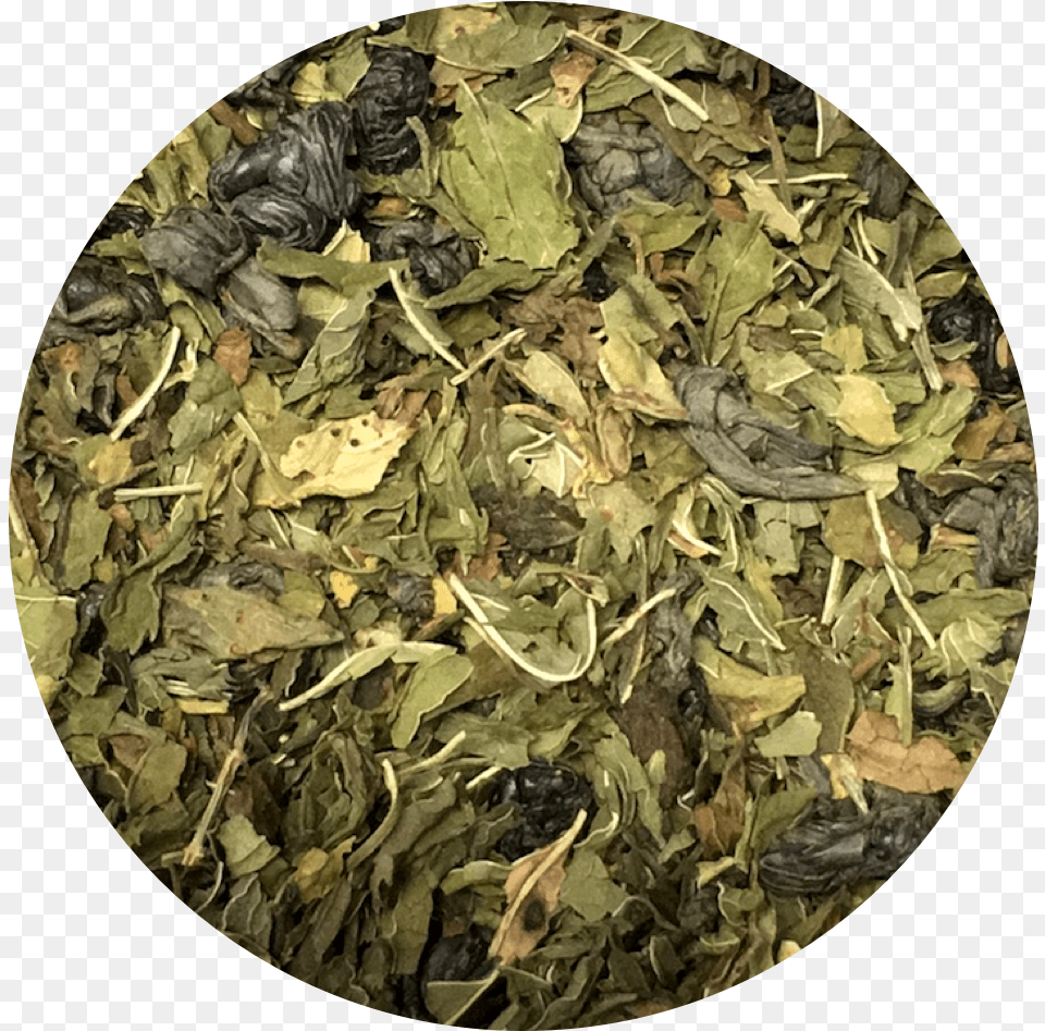 Moroccan Mint Decaf Camouflage, Herbal, Herbs, Leaf, Plant Free Transparent Png