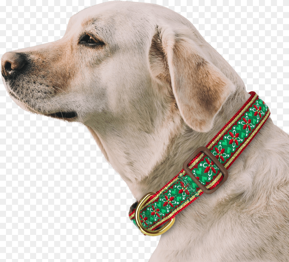 Morocco Flower Dog Collar With Bow Tie Amp Keychain Included Dog With Seresto, Accessories, Animal, Canine, Mammal Free Png Download