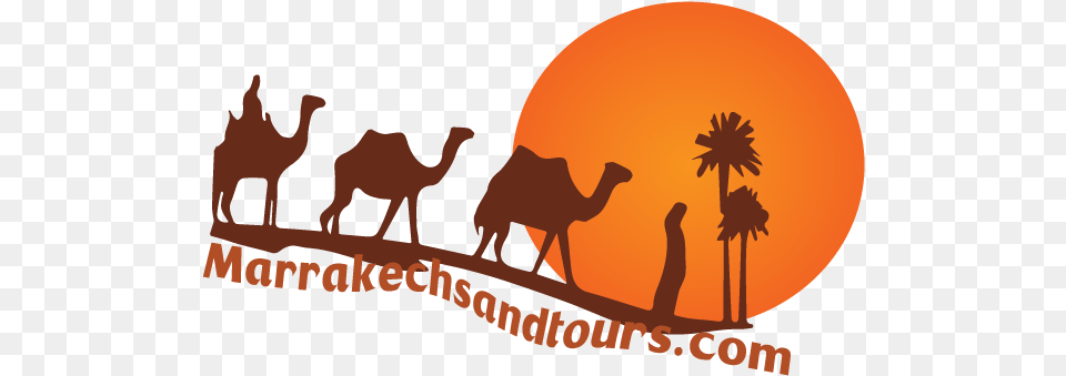 Morocco Tours Trips In Desert Arabian Camel, Animal, Mammal, Person Free Png